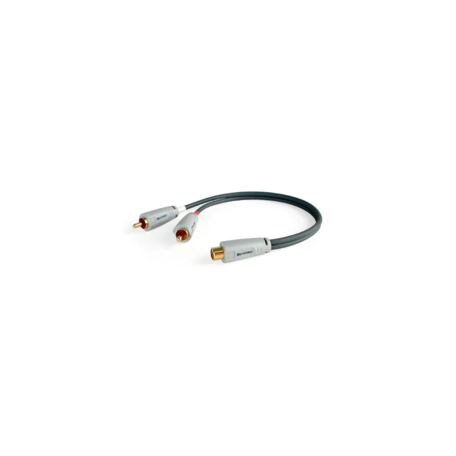 B3-Y-RCA-2M1F