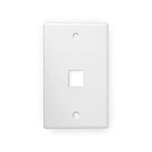 PLATE-1