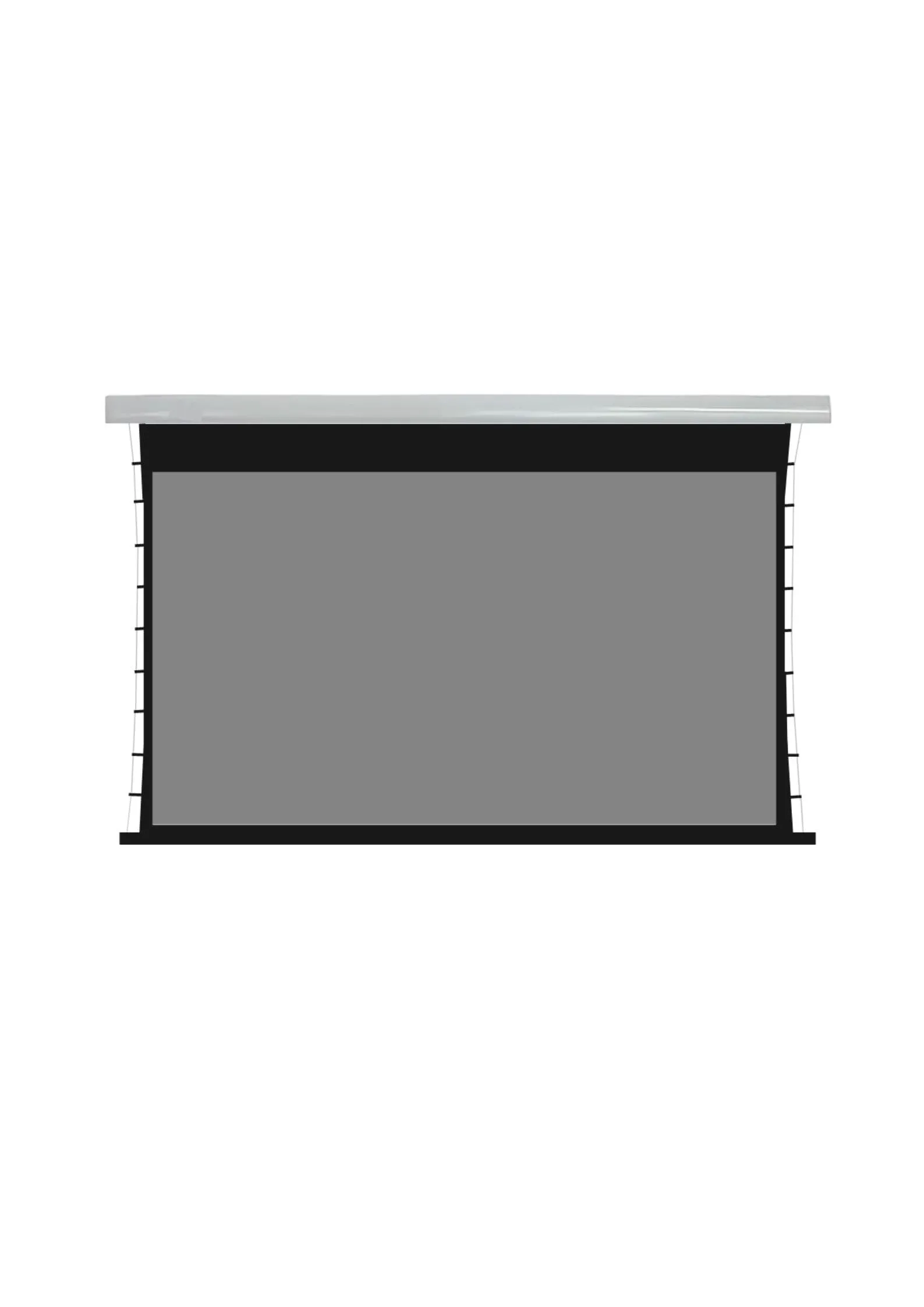 ALB-GREYLINE-T