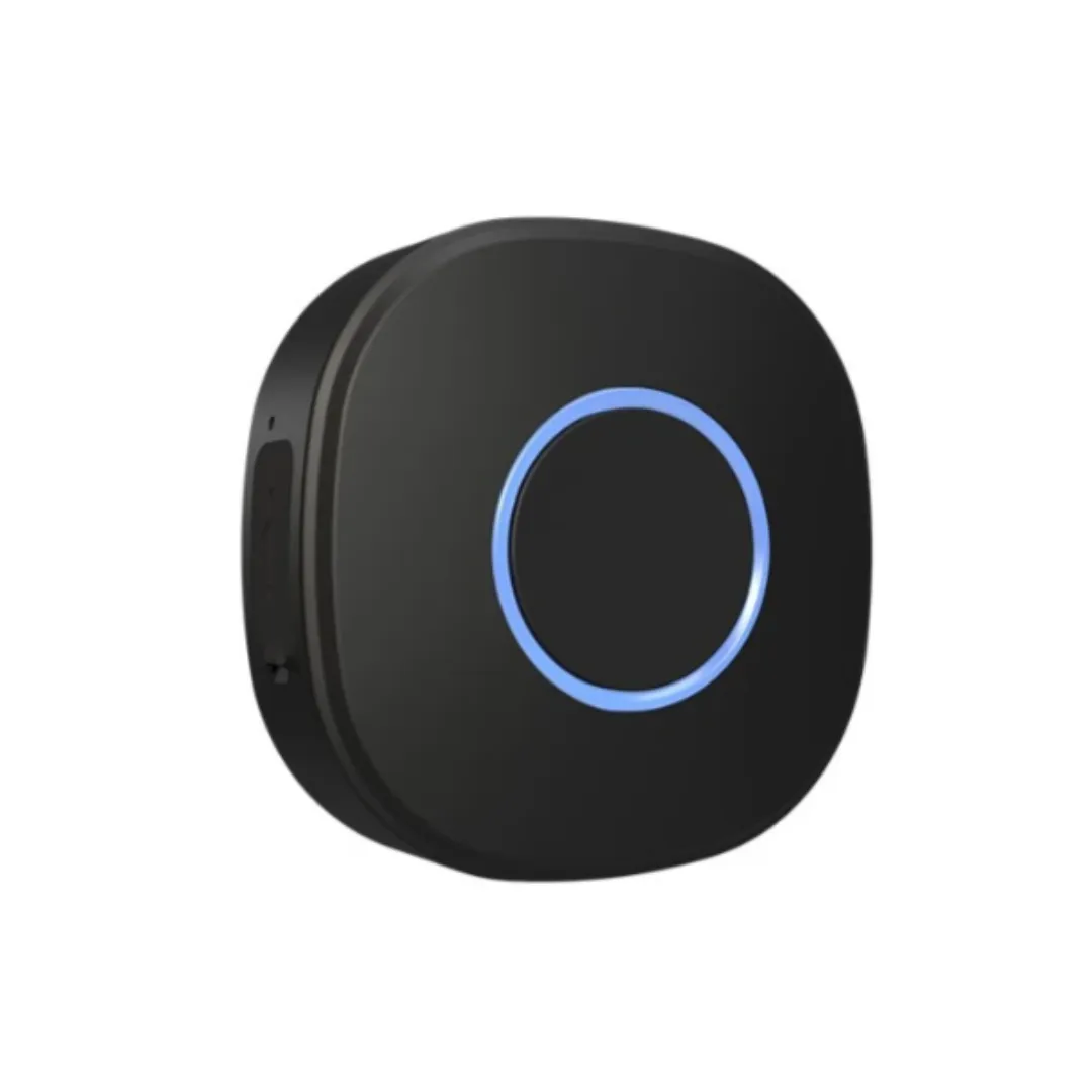 BUTTON 1