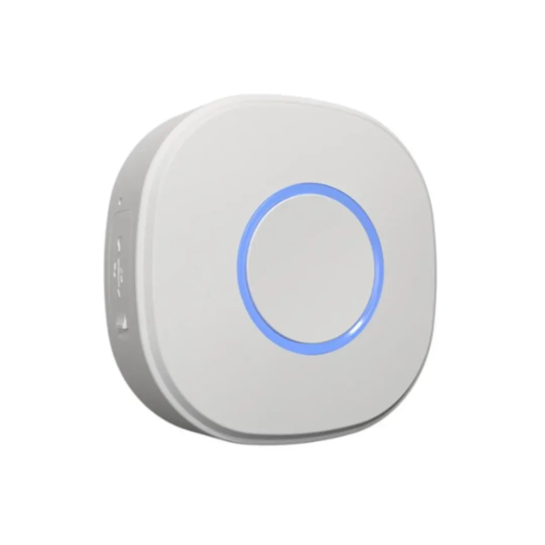 BUTTON 1