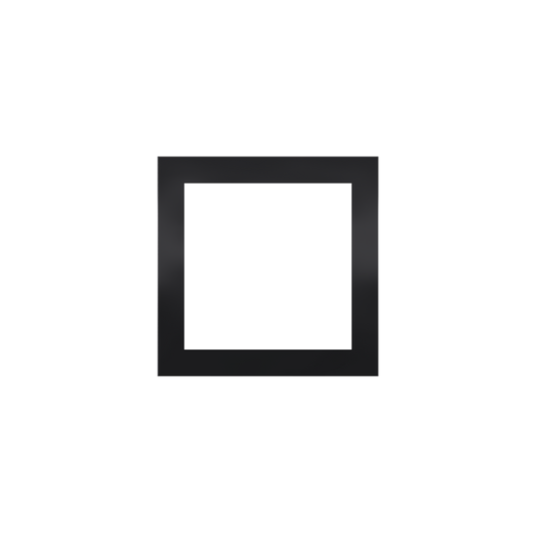 C4-L-FP2