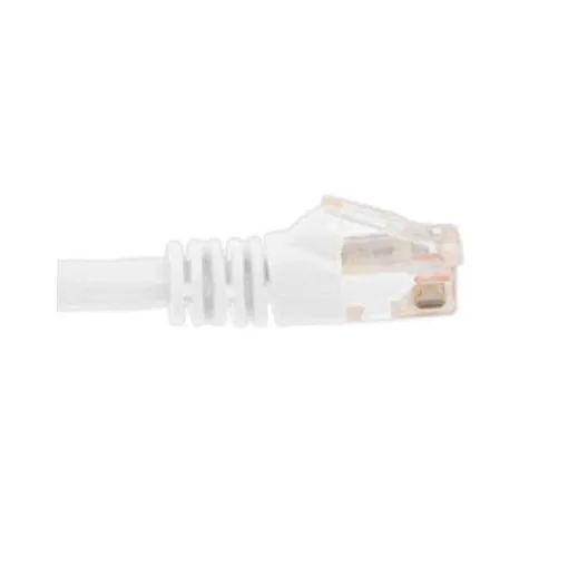 WP-PC-CAT5E-10FT