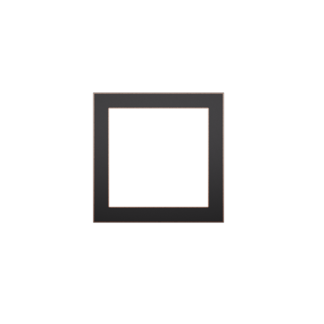 C4-L-FP2
