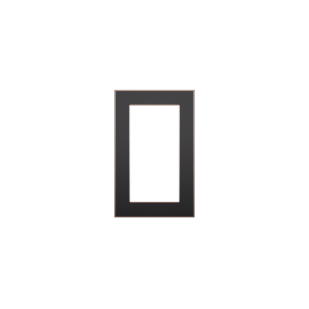 C4-L-FP1