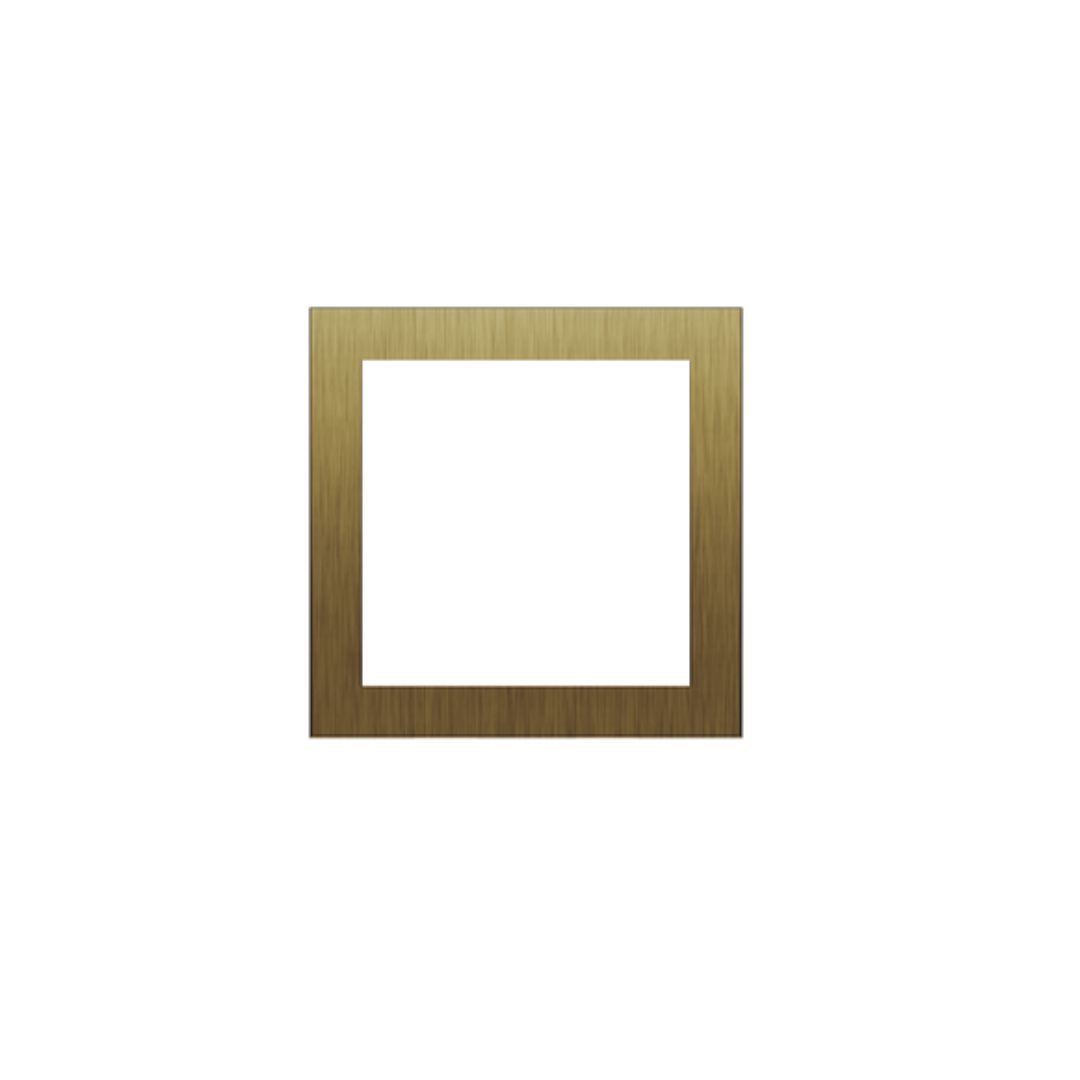 C4-L-FP2