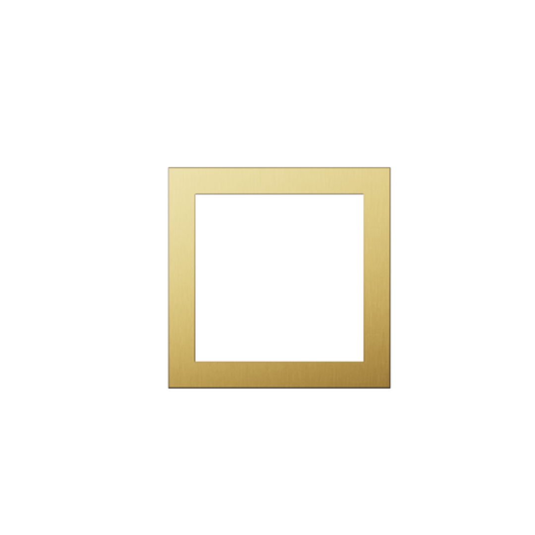 C4-L-FP2