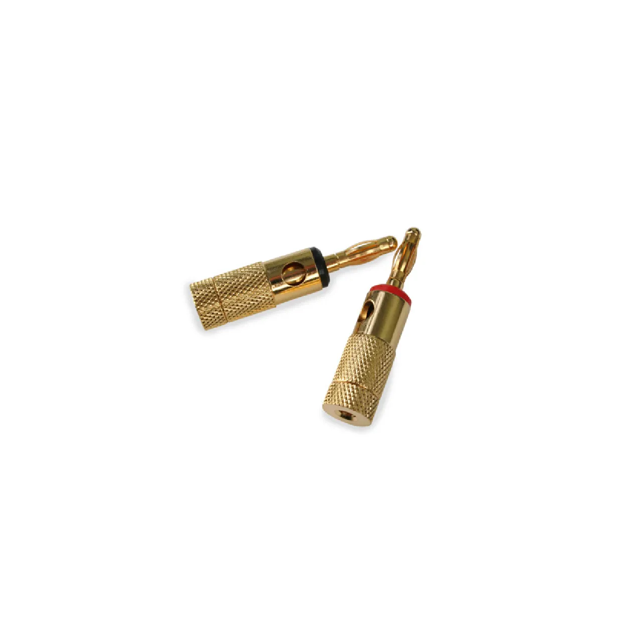BC-BANANA-(PACK-20)