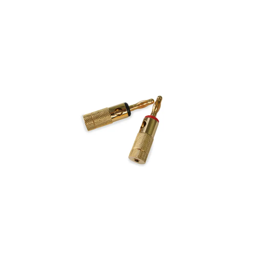 BC-BANANA-(PAR)
