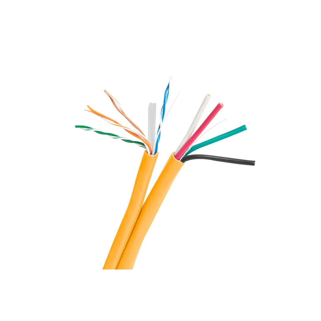 SP-164-CAT6-500-ORG