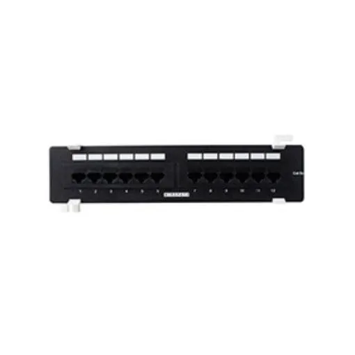 WP-CAT5E-PP-12-WM